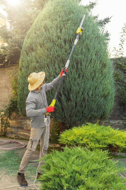 Best Tree Trimming and Pruning  in Pablo, MT